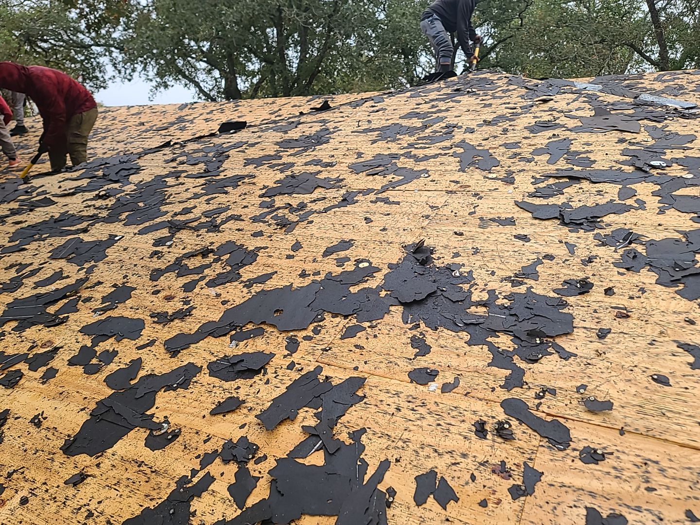 Complete Roofing Replacement With Malarkey Vista Shingles in Fredericksburg by Caliber Restoration LLC