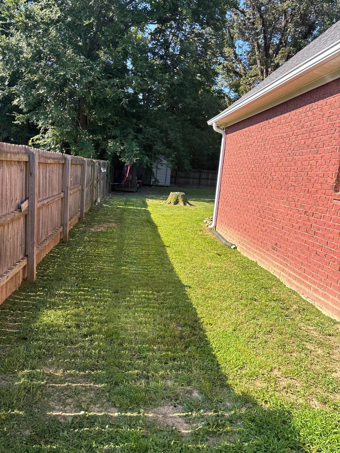 Lawn Care  by Elite Proscapes LLC