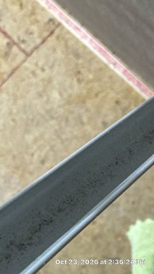 Mold Remediation — Bonita Springs, FL