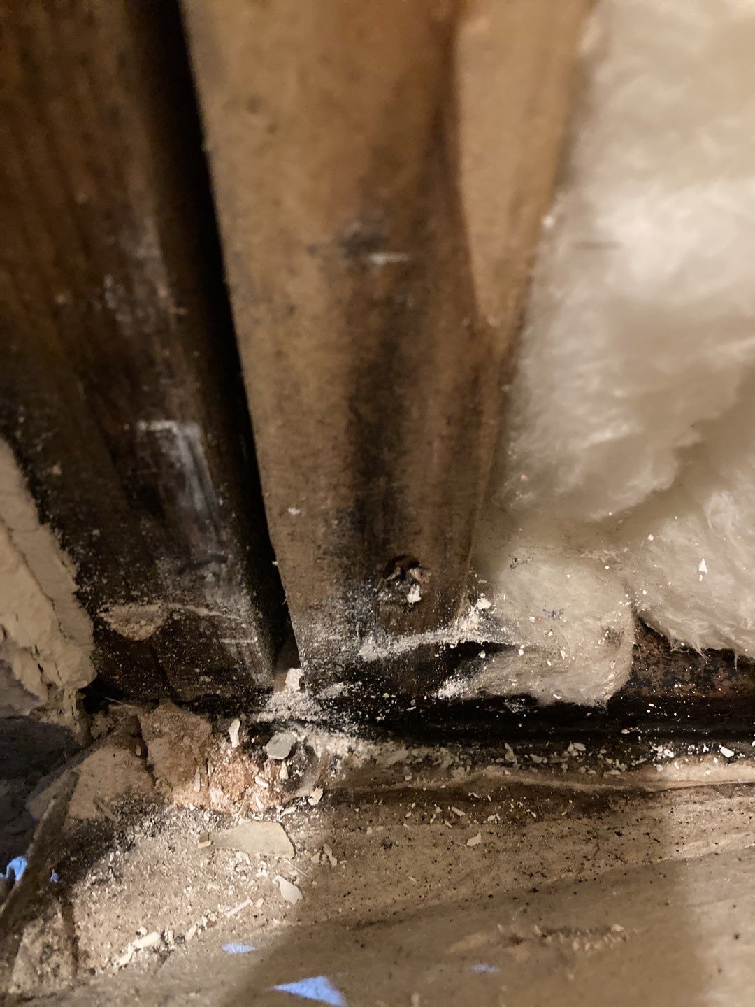 Water Damage Repair by Accountable Home Services