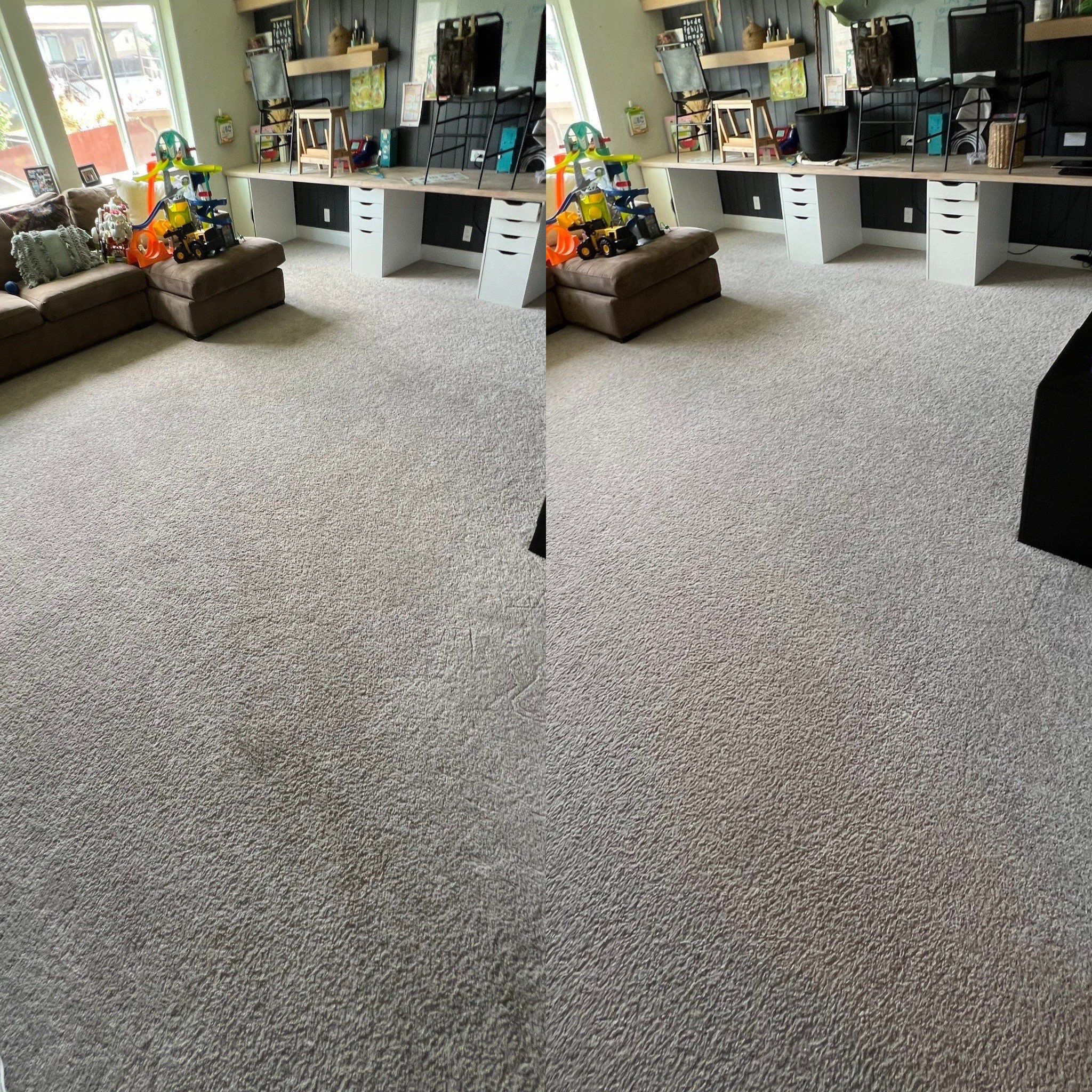 carpet cleaning service in a home office and living room area with visible before and after results