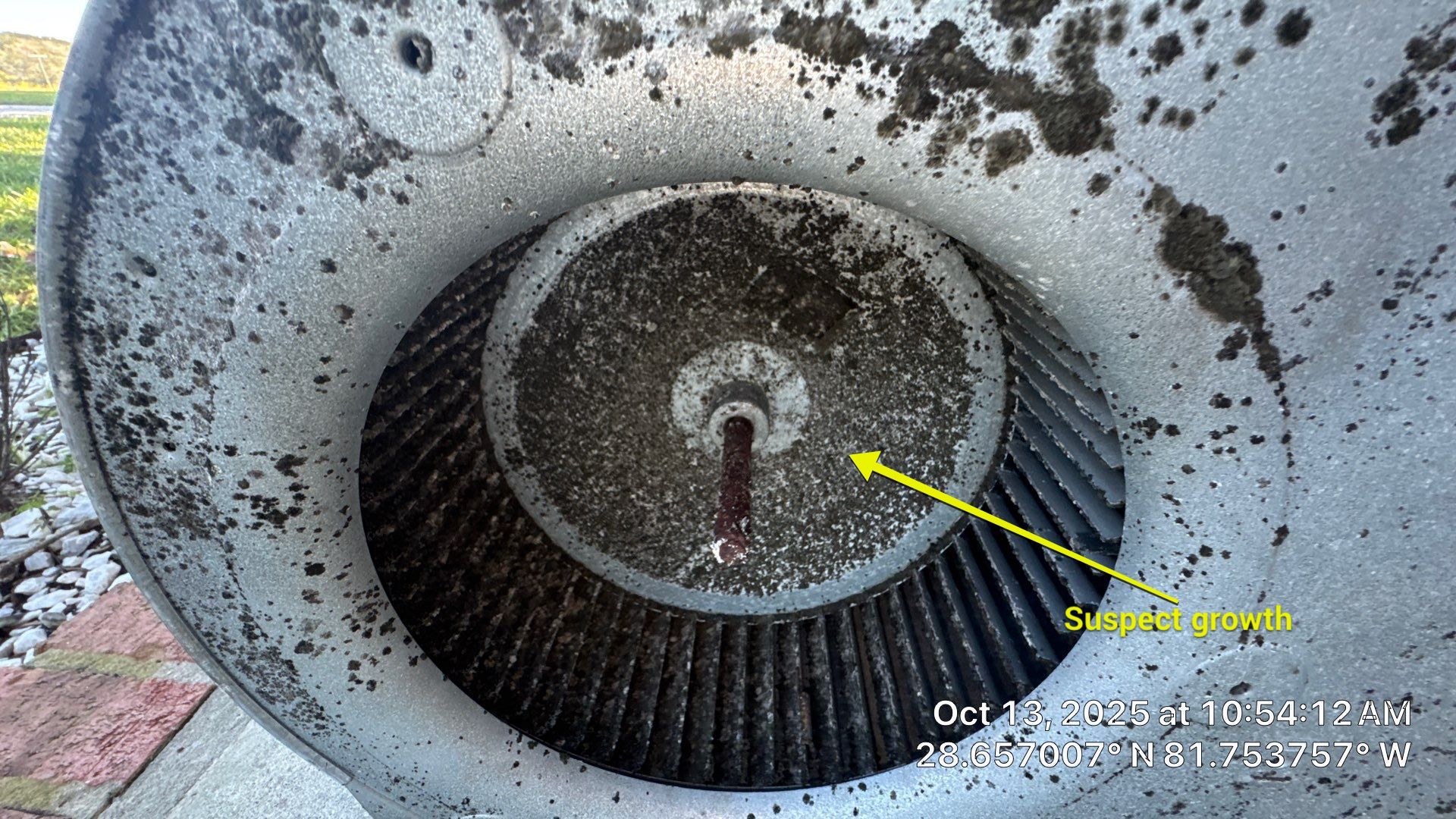 Air Duct Cleaning in Clermont by Hygienic Air, Inc