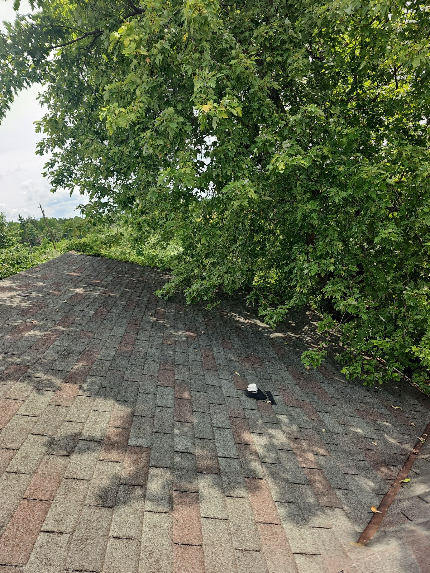 Roof Replacement by Winchester Roofing