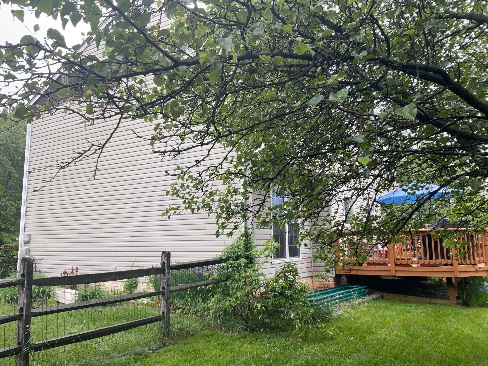 New siding    by Alpha Design Services