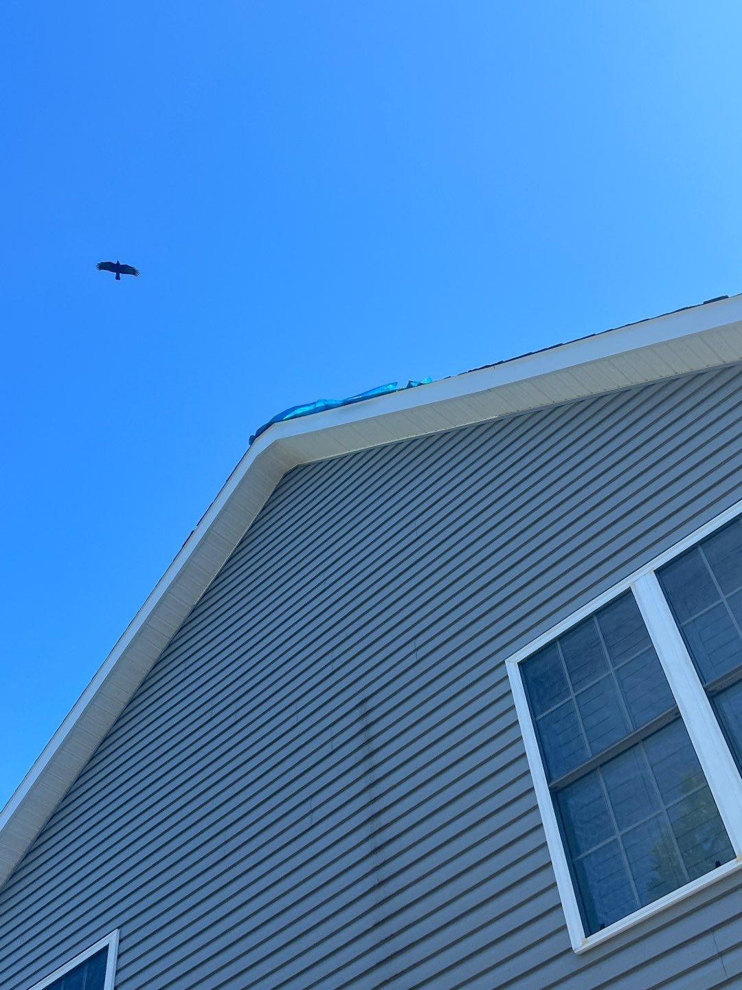 Falls Church: Residential Roof Replacement with CertainTeed Landmark Pro in Max Def Colonial Slate by RM Banning, Inc.