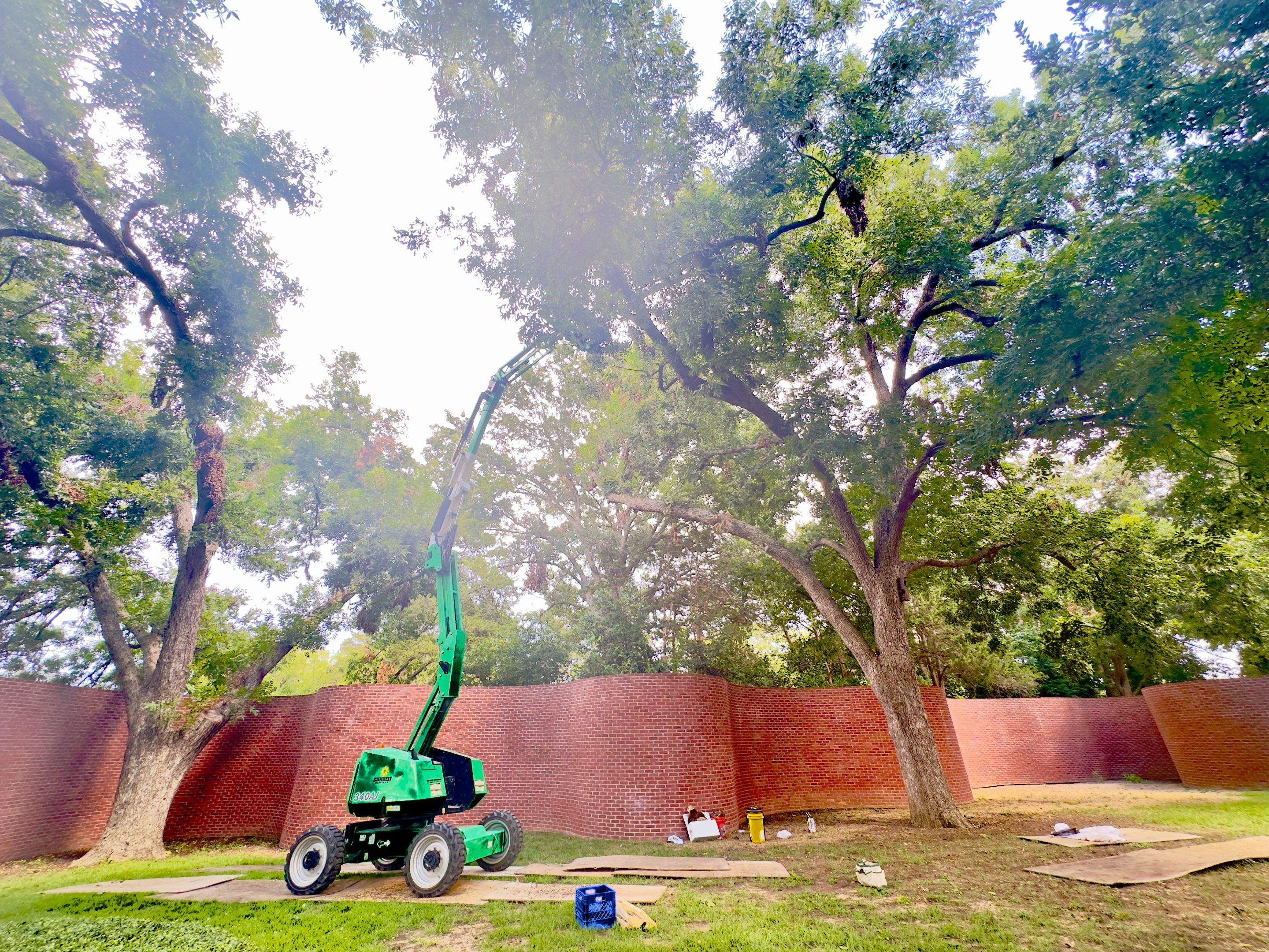 Open-Air Massive Colony by Rockwall Honey Bee Company