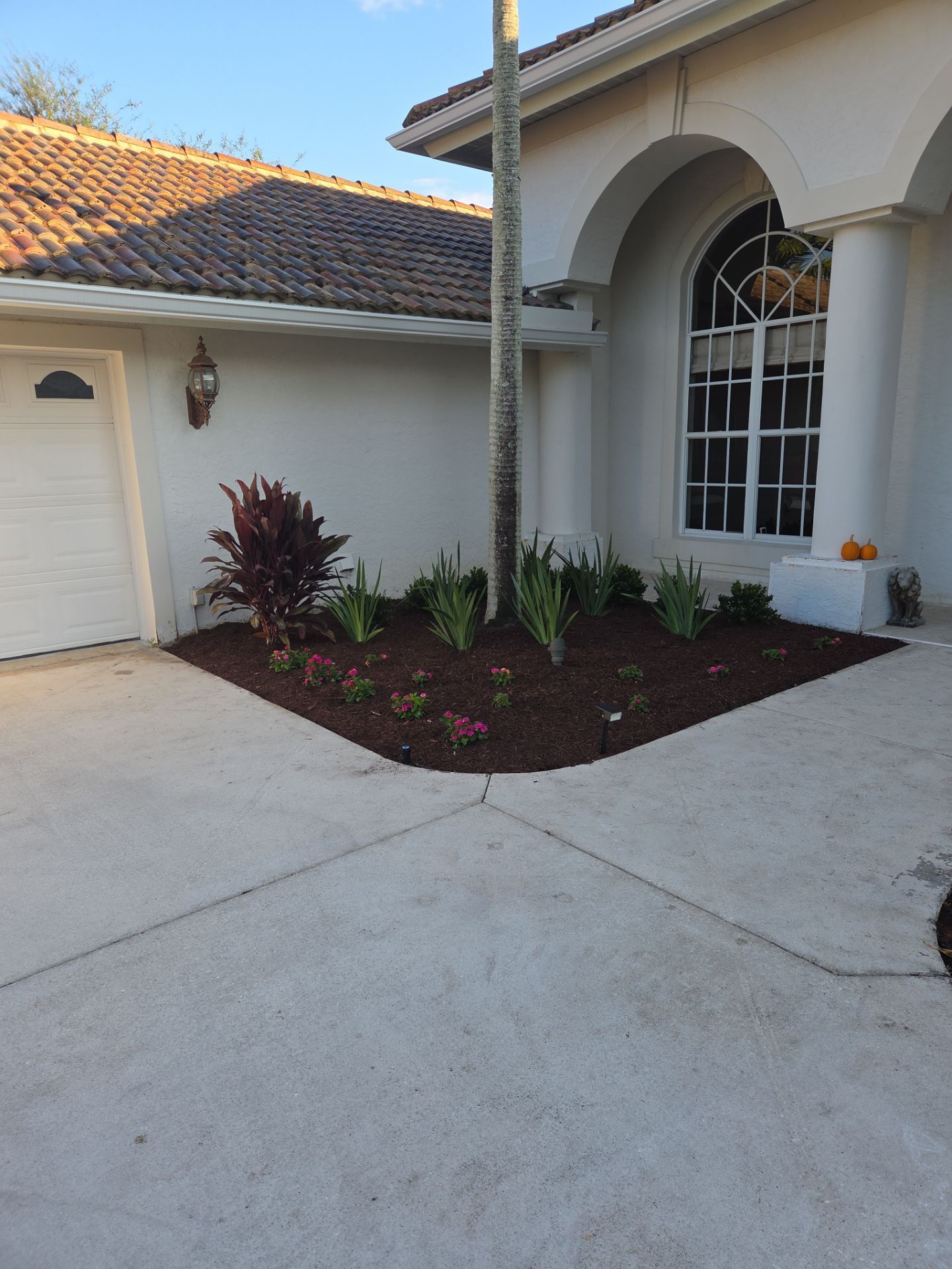 🌴 Landscape Removal and Install in Palm City by Alpha Zeta Enterprises Inc