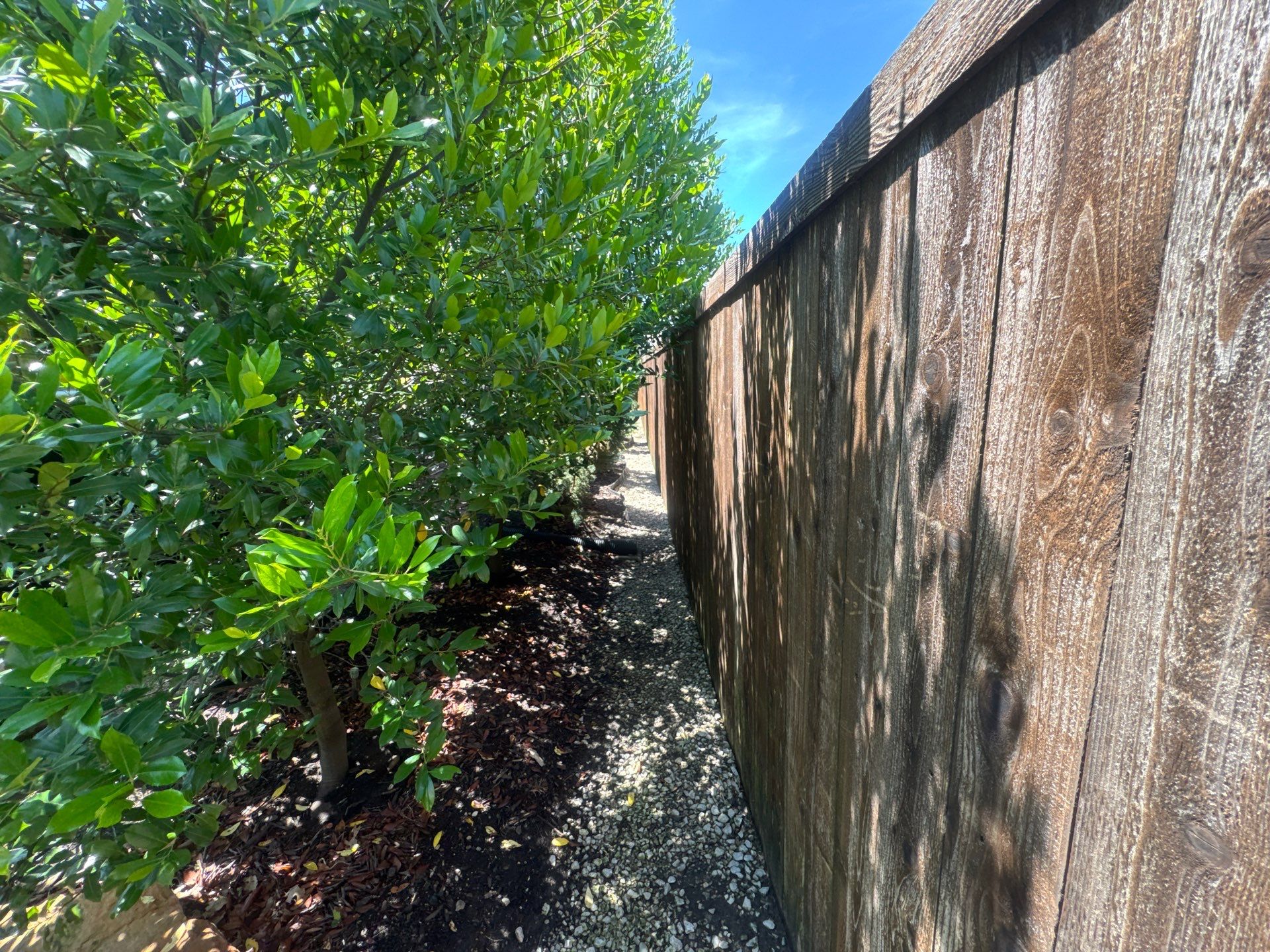 Project in McKinney, TX by NIMBUS GENERAL CONTRACTORS, LLC