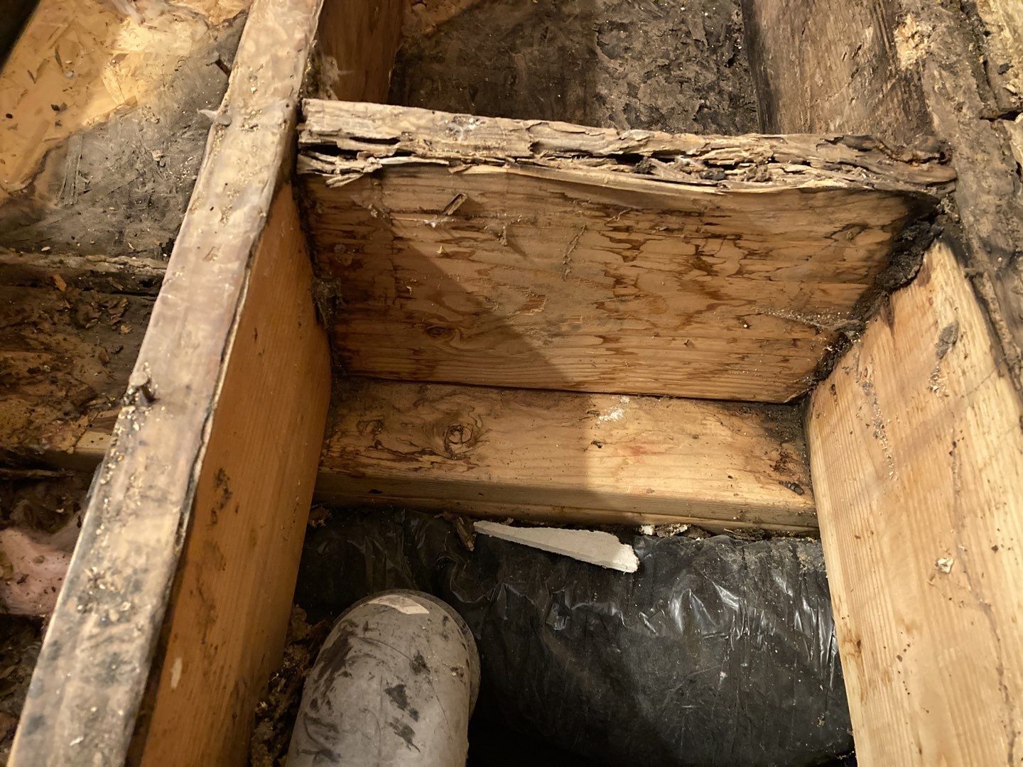 Mold Remediation in Bathroom by Accountable Home Services