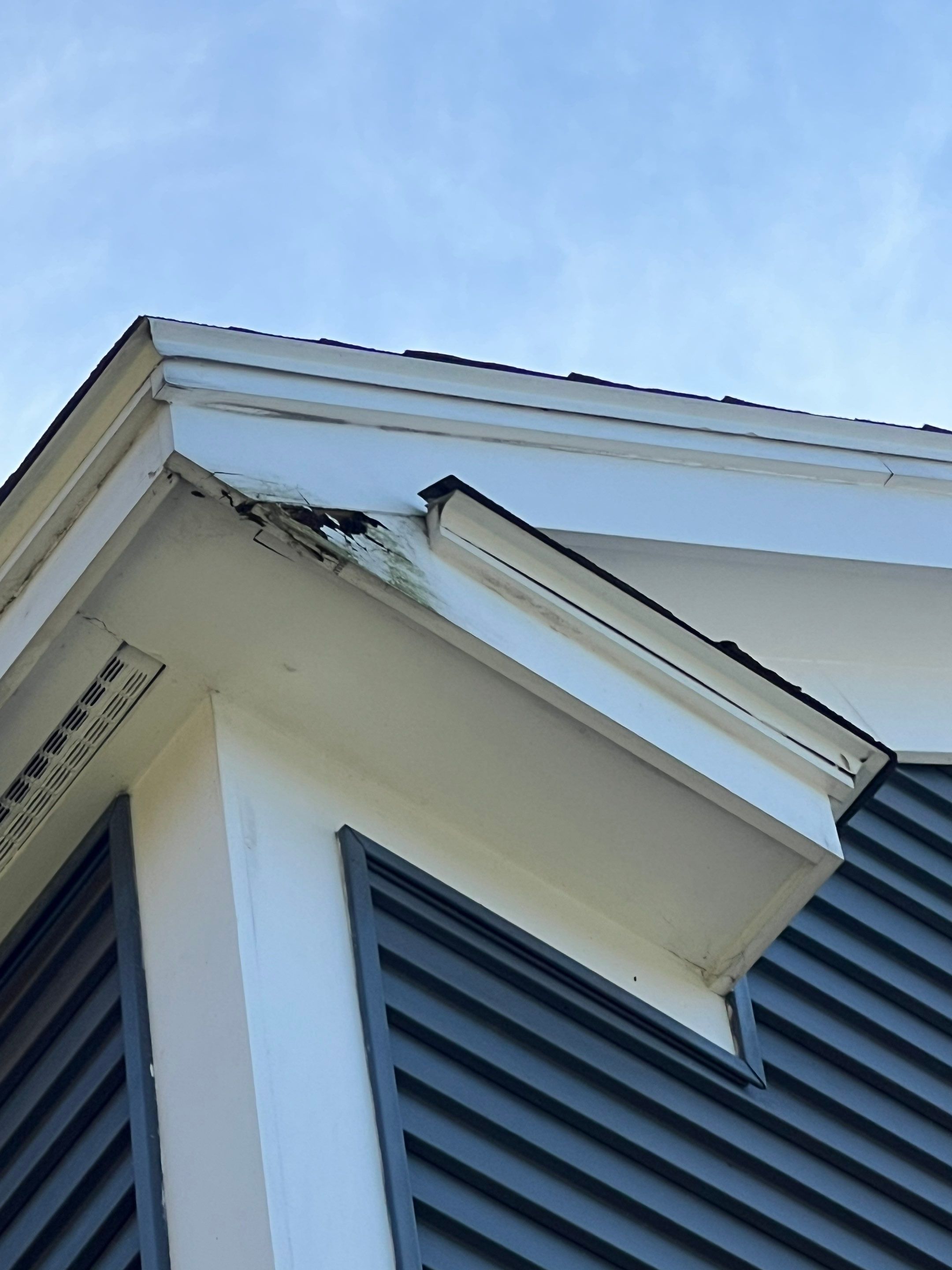 Siding | Tewksbury by Mighty Dog Roofing of Greater Middlesex County