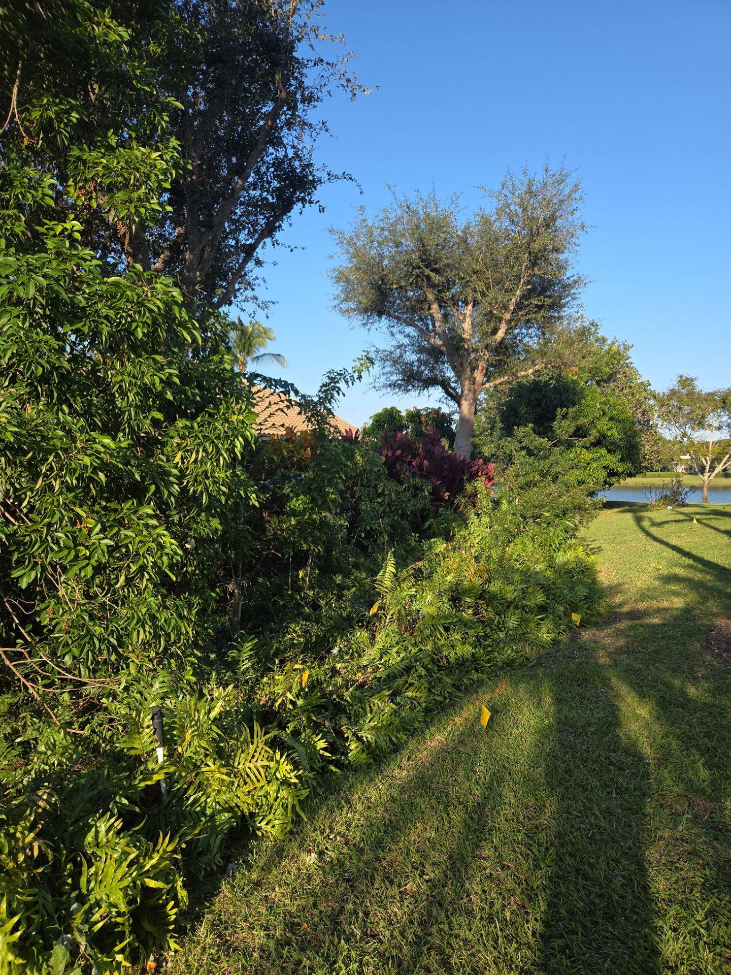 🌴 Landscape Removal and Install in Palm City by Alpha Zeta Enterprises Inc