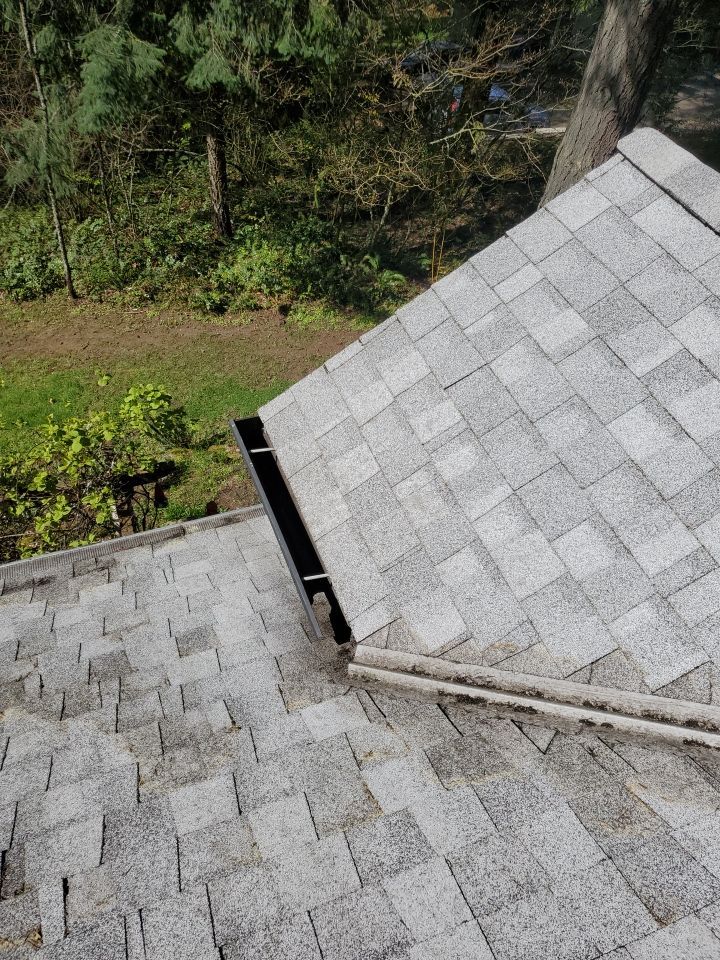 Roof Treatment using Surfactant and Biocide by Willamette Outdoor Wash LLC