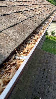 Turtle Shell gutter protection installation in Naperville, IL 60563, photograph 16