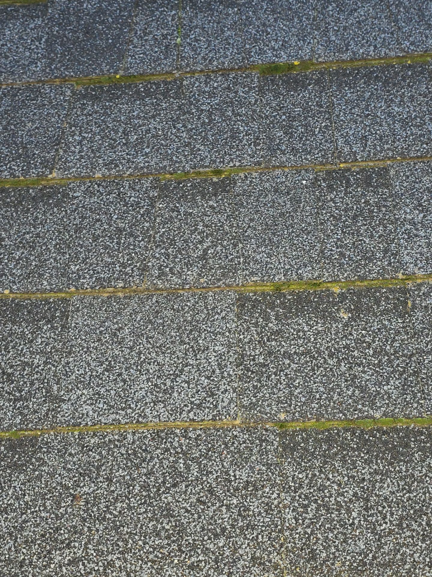 Roof Rejuvenation using Roof Maxx Treatment by Roof Maxx of Folsom