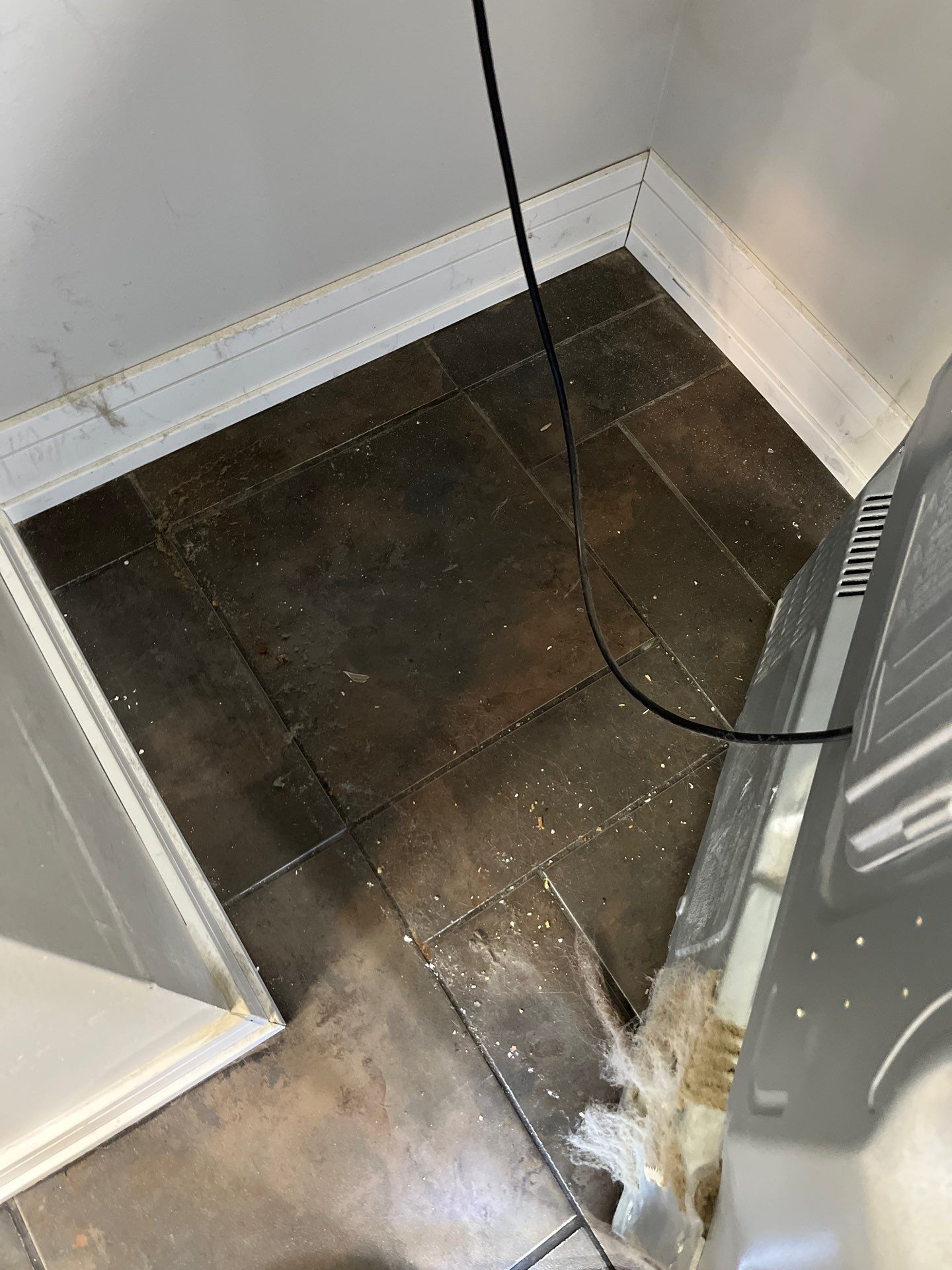 Project in Chicago by Xo Clean Services 