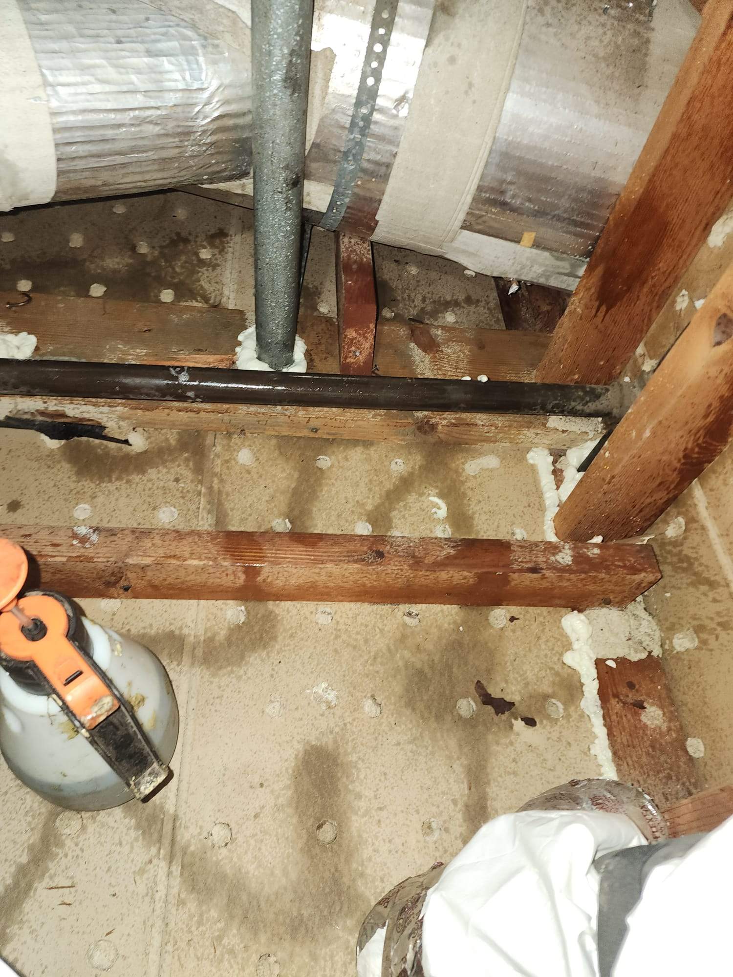 Project by Advanced Attic Solutions by Advanced Attic Solutions