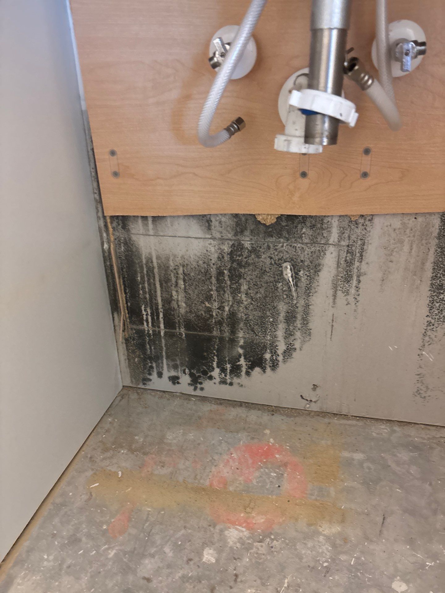 Mold Damage Inspection In Bradenton Florida by Ampm Restoration Services