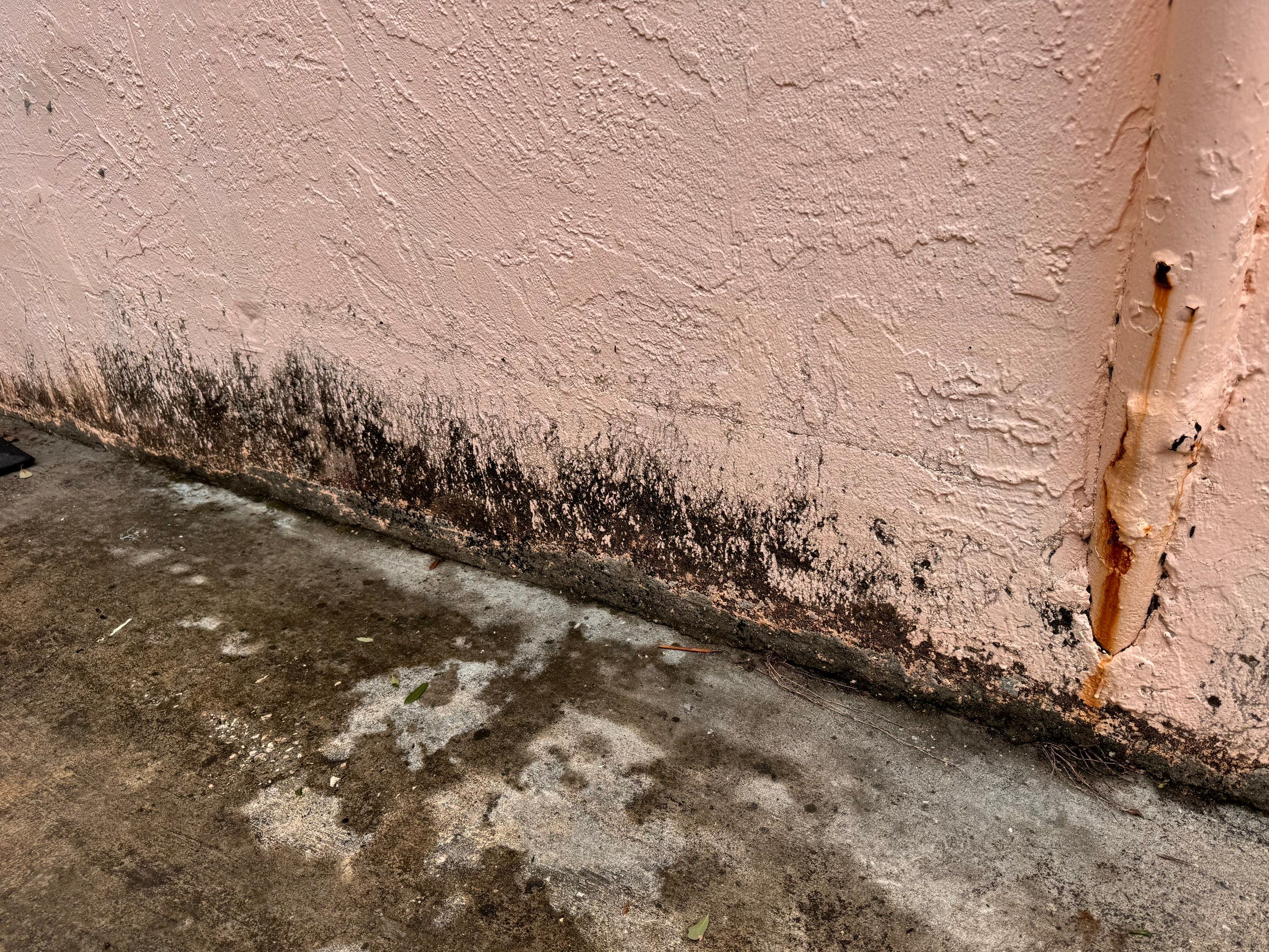 Water Damage Claim in Miami by FLAPA & KeyStone
