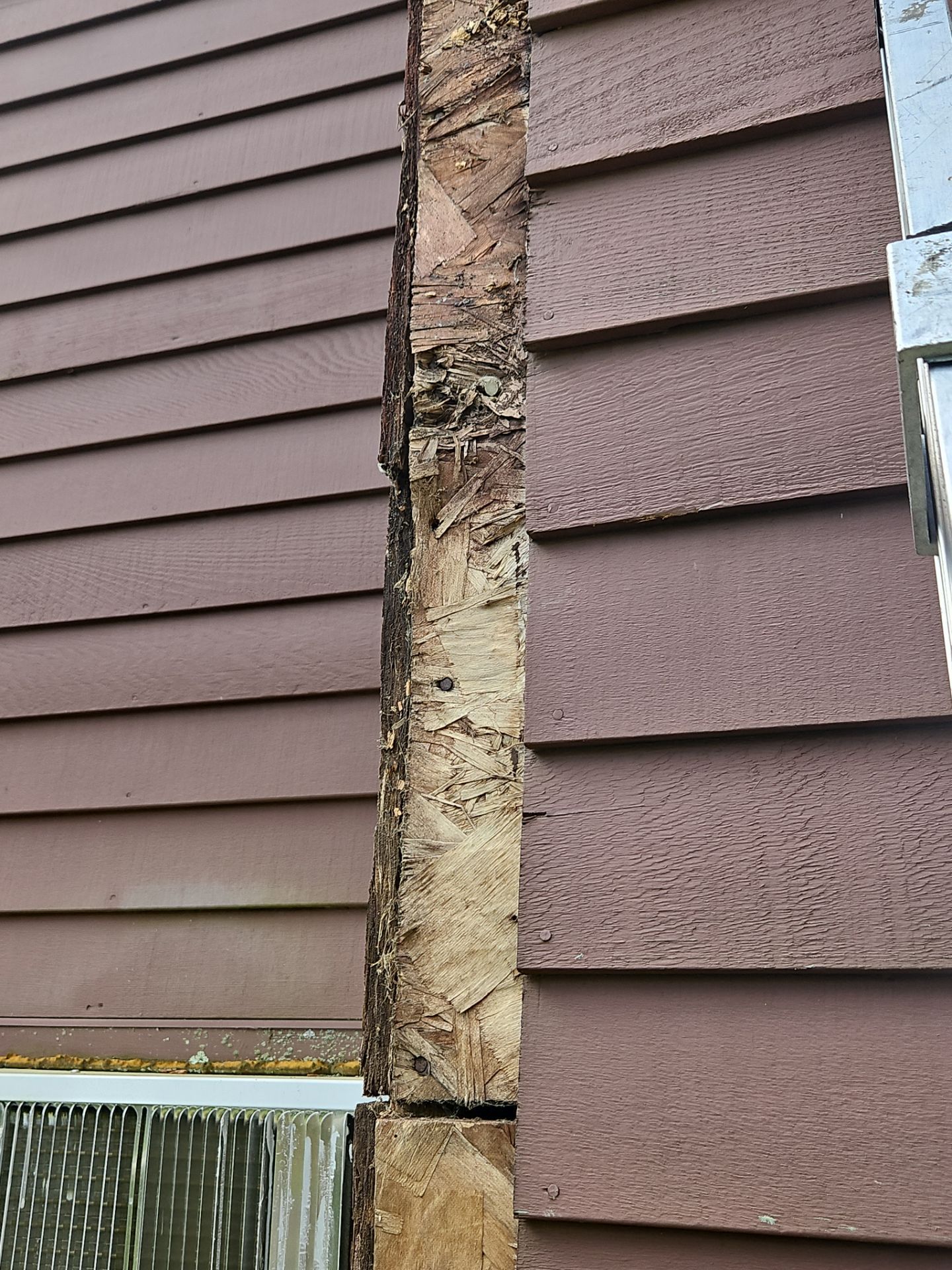 Siding | Methuen by Mighty Dog Roofing of Greater Middlesex County