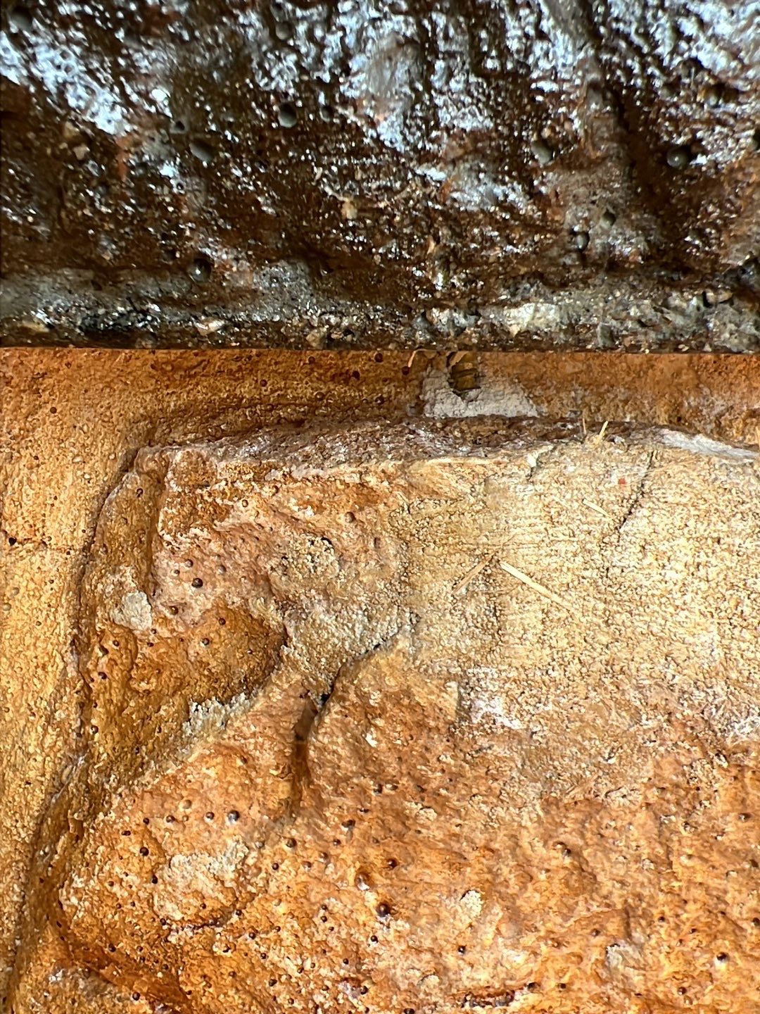 Stamped Concrete Pavilion Slab  by Xtreme Concrete Services