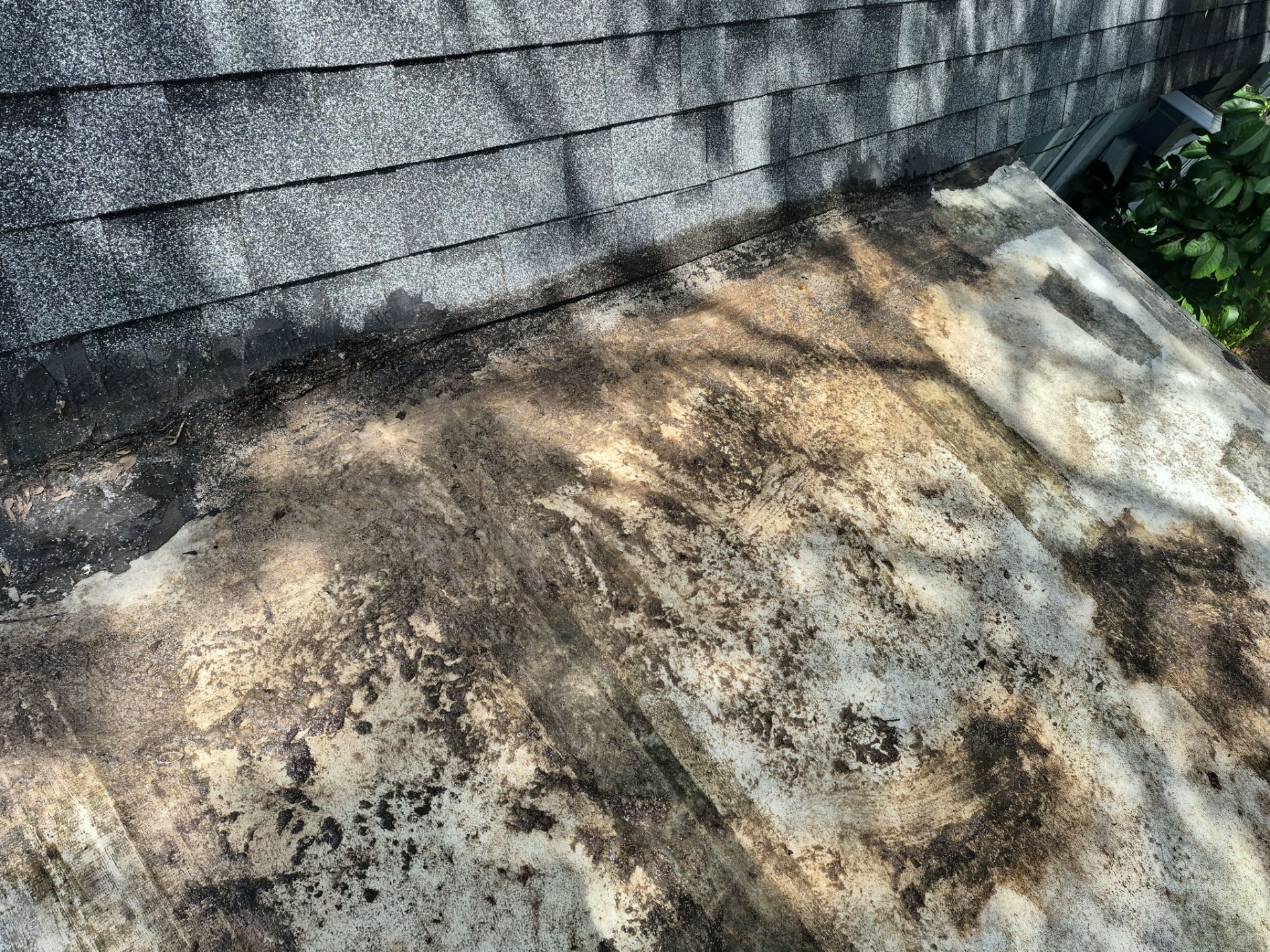 Project in Pinellas Park 33781 by Mitchell Roofing Company LLC