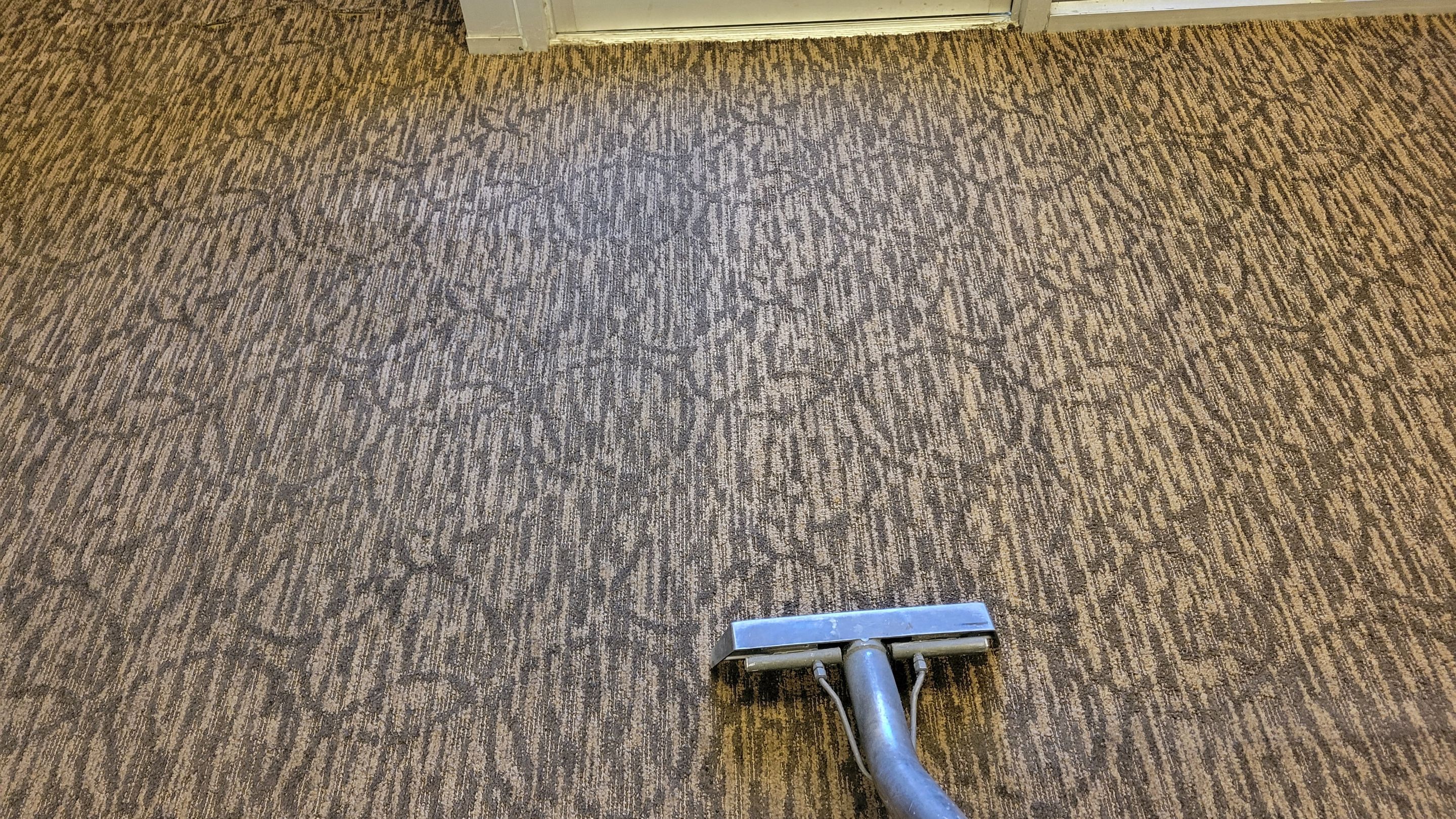 Buckled Commercial Glue Down Carpet by Ardent Carpet Restore LLC