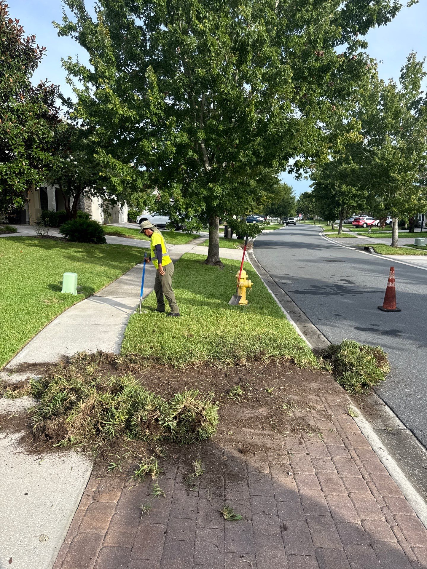 Residential | Sod Installation by ProGreen Services