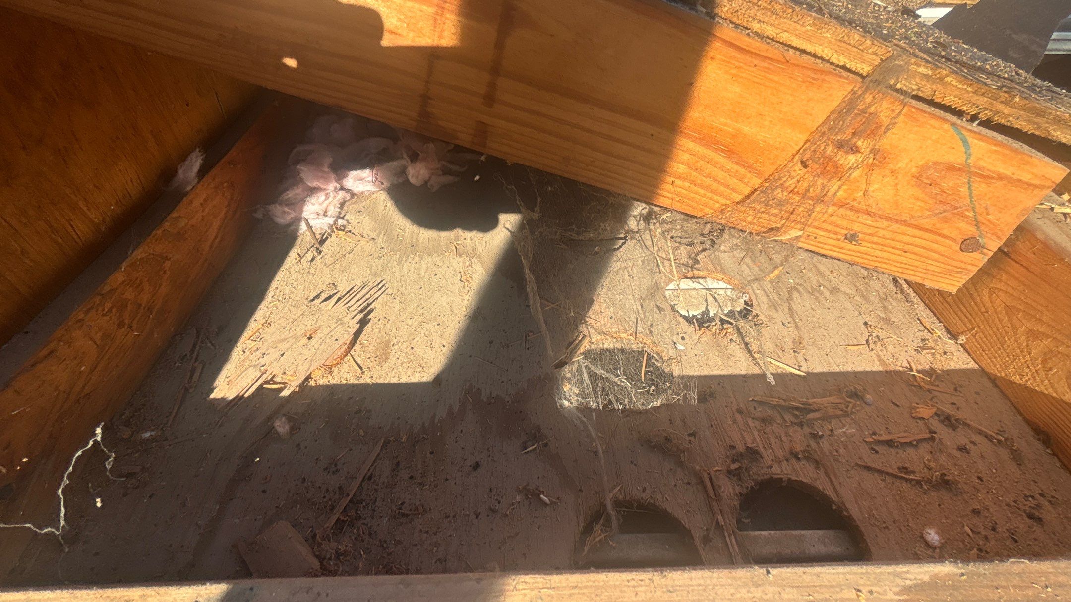 Roof Replacement using Owens Corning Williamsburg Grey by 180 Contractors