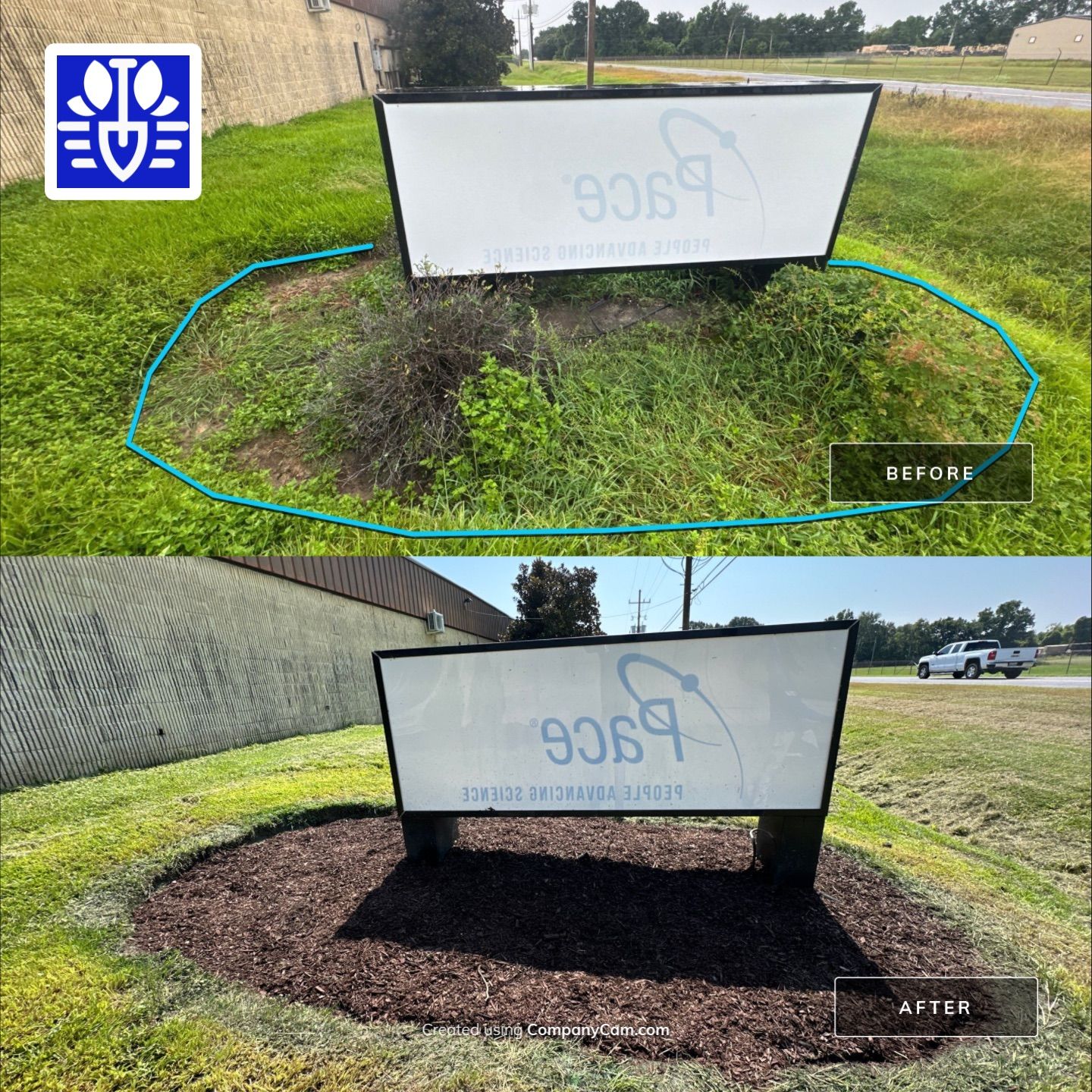 COMMERCIAL LAWN MAINTENANCE: ONE TIME CUT & LANDSCAPE CLEAN UP by CutScape, LLC.