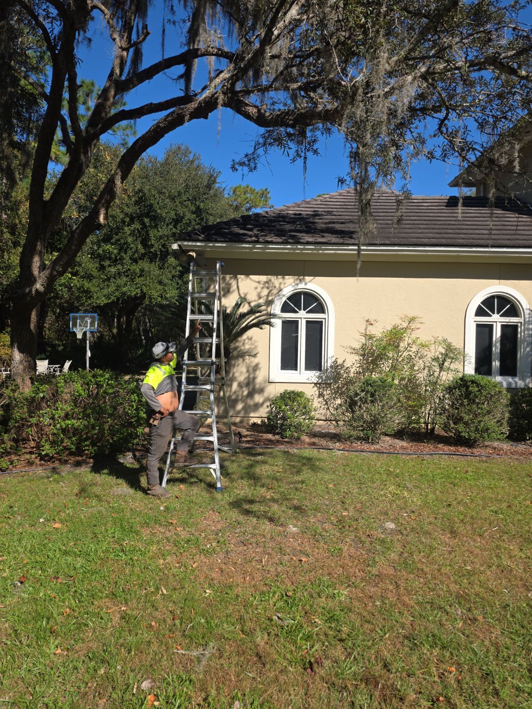 Deerwood Residence | Tree Work by ProGreen Services