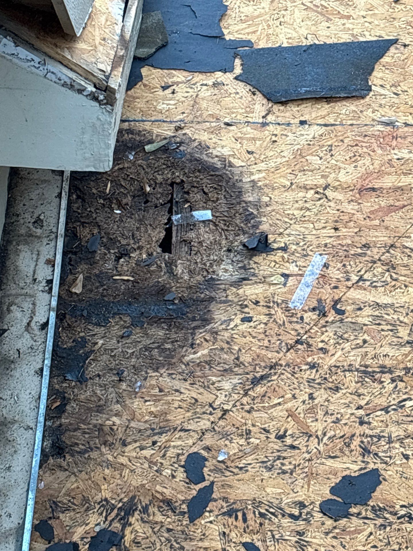 Roof Replacement Sugarland by Roof Repair Services LLC