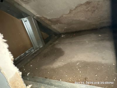 Flood Damage Cleanup — Bonita Springs, FL