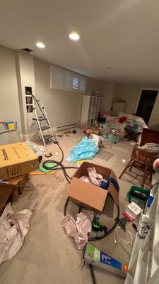Mold Project in Englewood