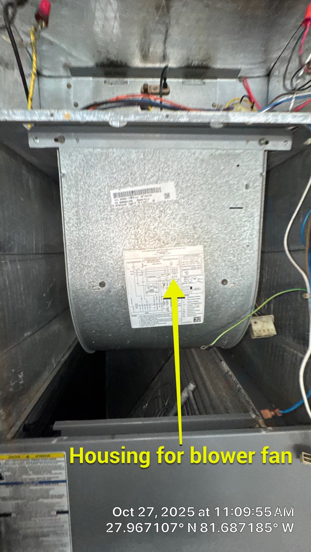 Air Duct and Dryer Vent Cleaning in Winter Garden by Hygienic Air, Inc