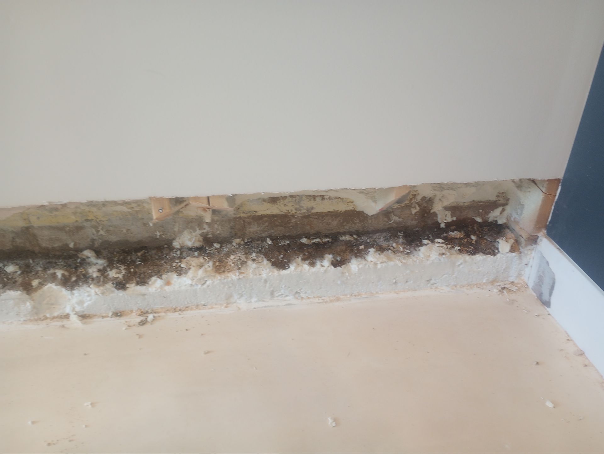 Fixing a Persistent Leak for Dustin in New Brighton by Waterproofing Northeast