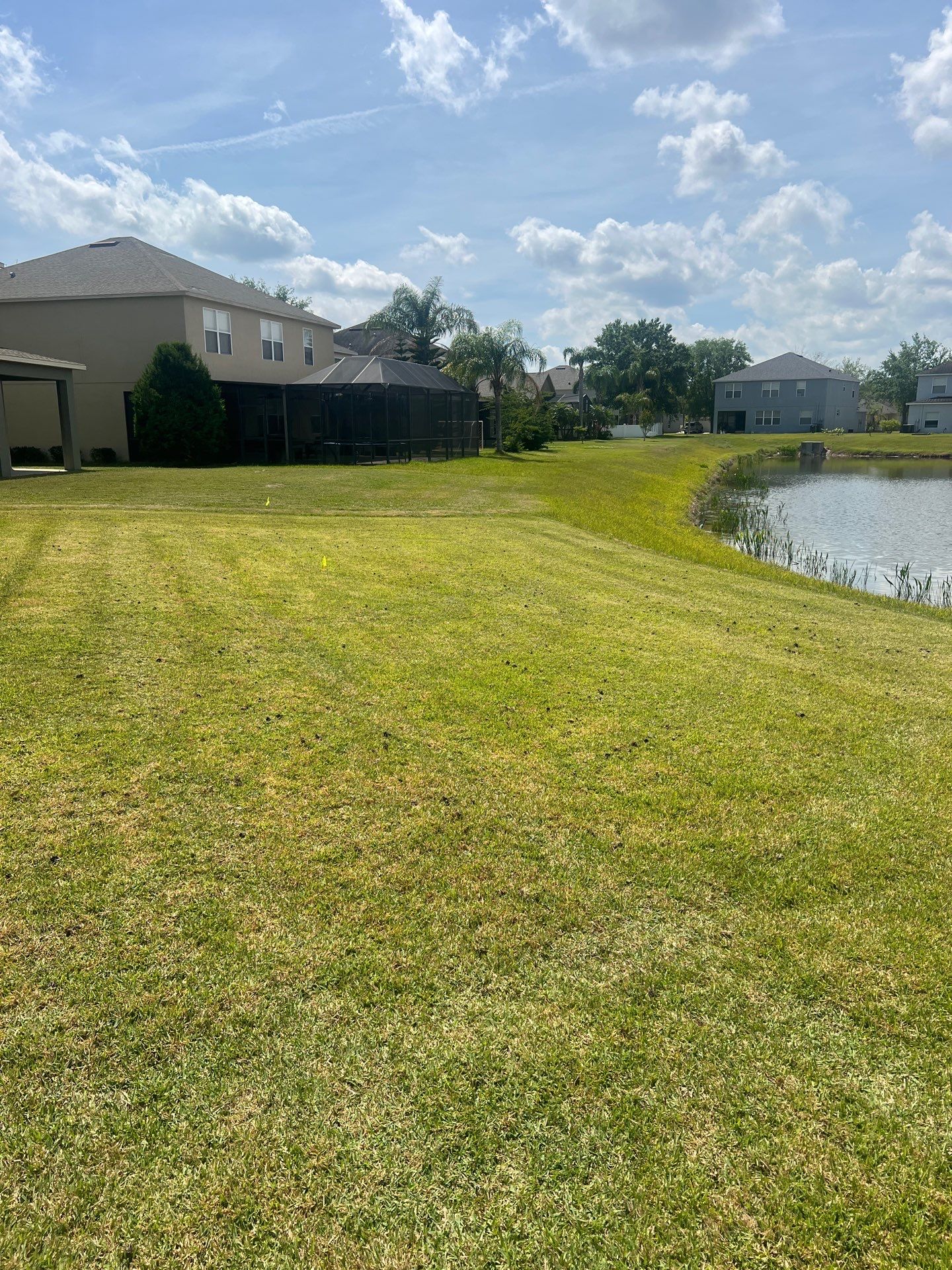 Zoysia Lawn Rehab by Green Flag Services