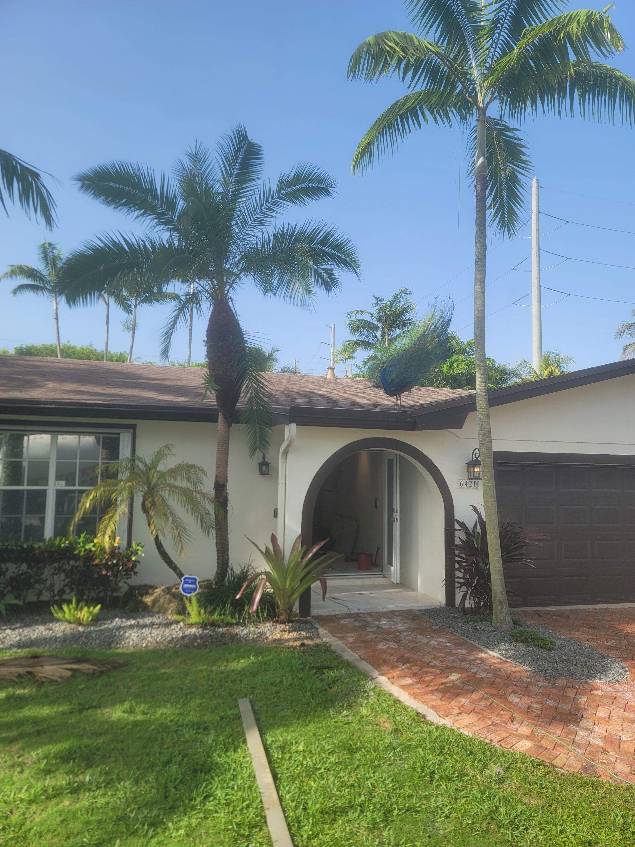 Interior Renovation and Plumbing Infrastructure Upgrades in Coral Gables by Picos Construction Engineering