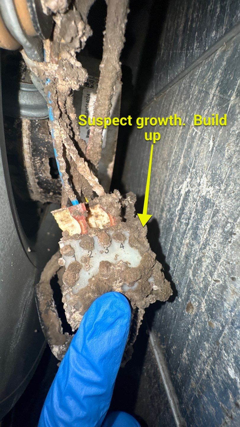 Extremely Dirty Air Duct Cleaning in Fruitland Park by Hygienic Air, Inc