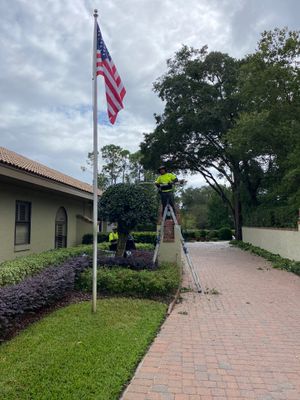 Deerwood Resident | Shrub Work