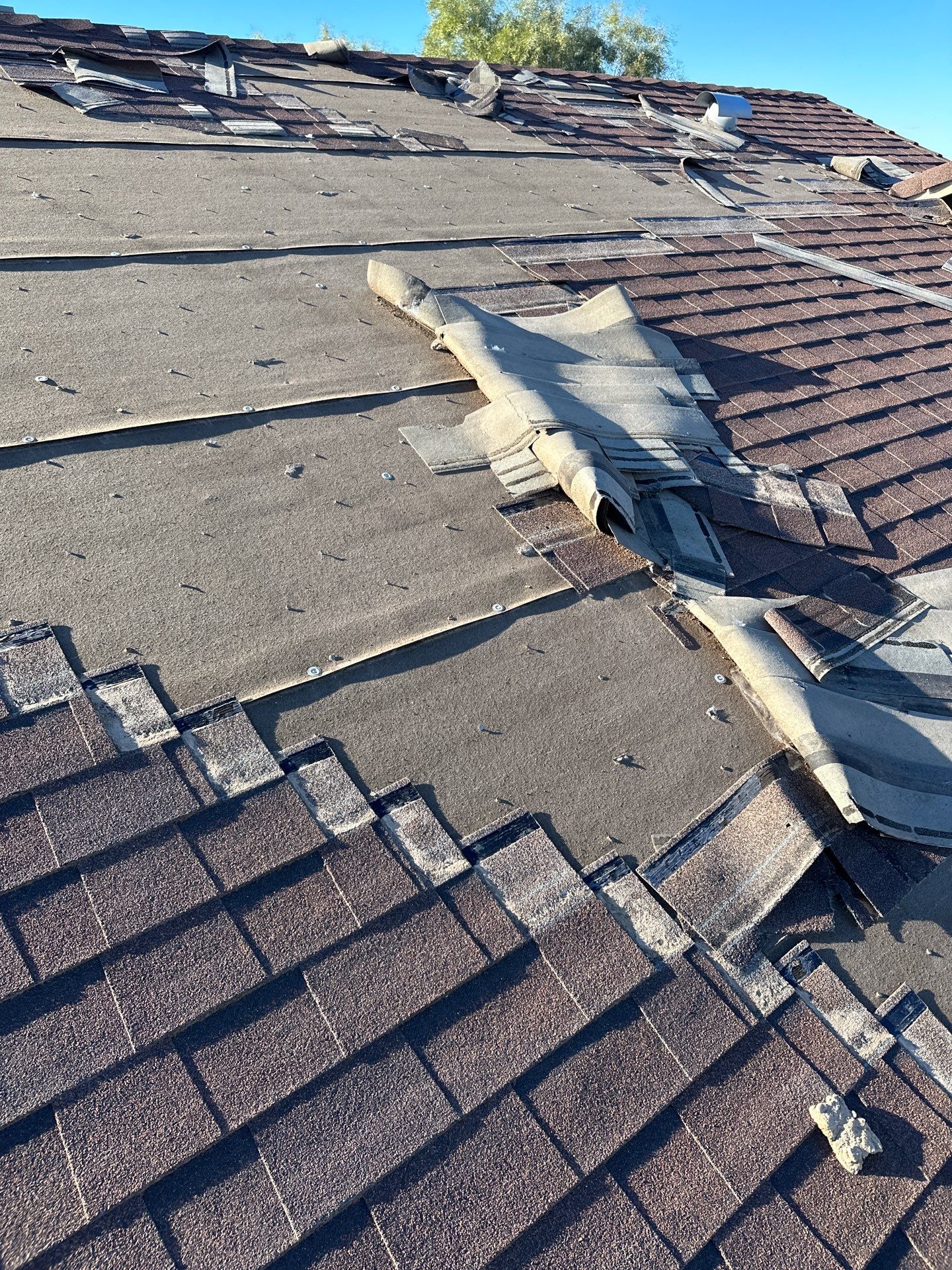Shakewood Shingles by Reimagine Roofing