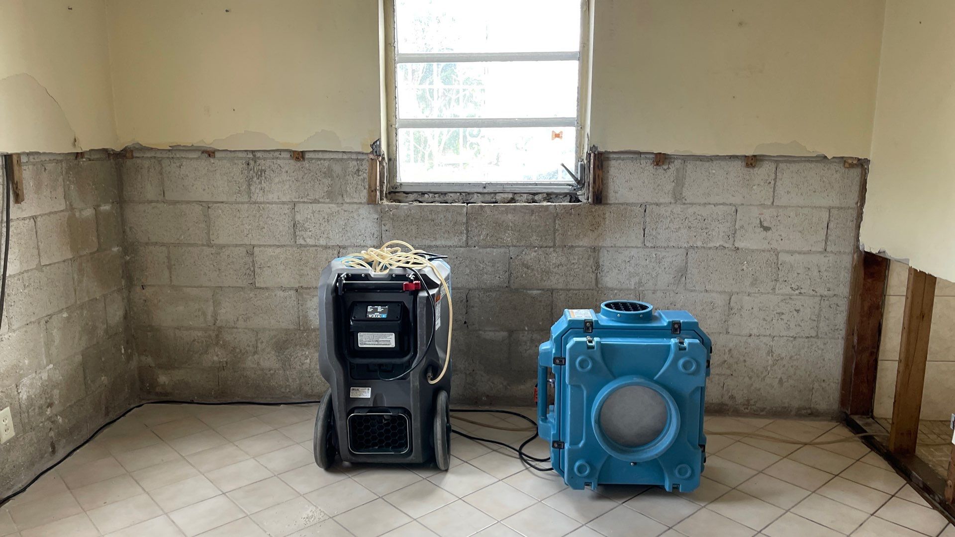 Mold Remediation  by THE RAPID TEAM