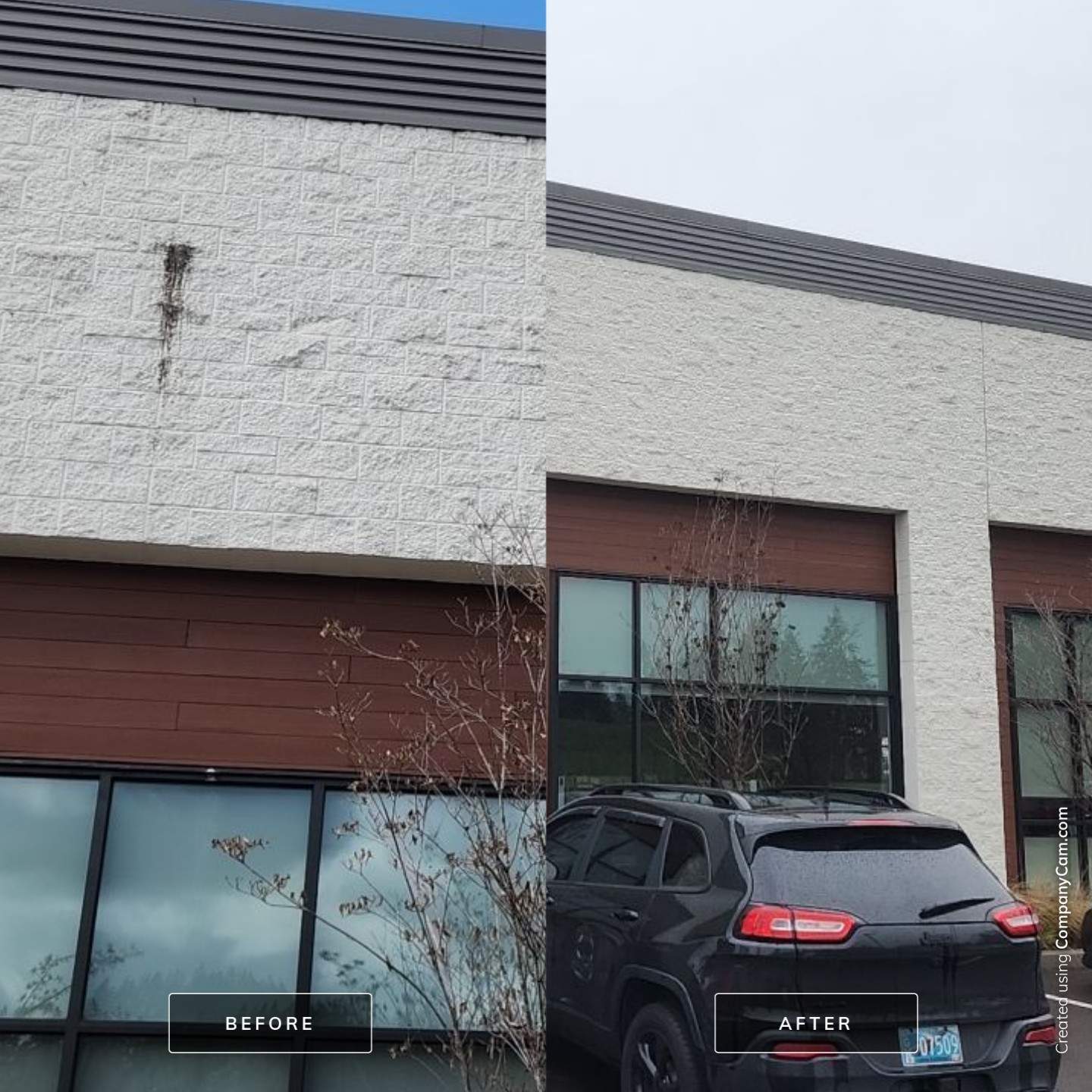 Soft Wash using Soft wash solution by Willamette Outdoor Wash LLC