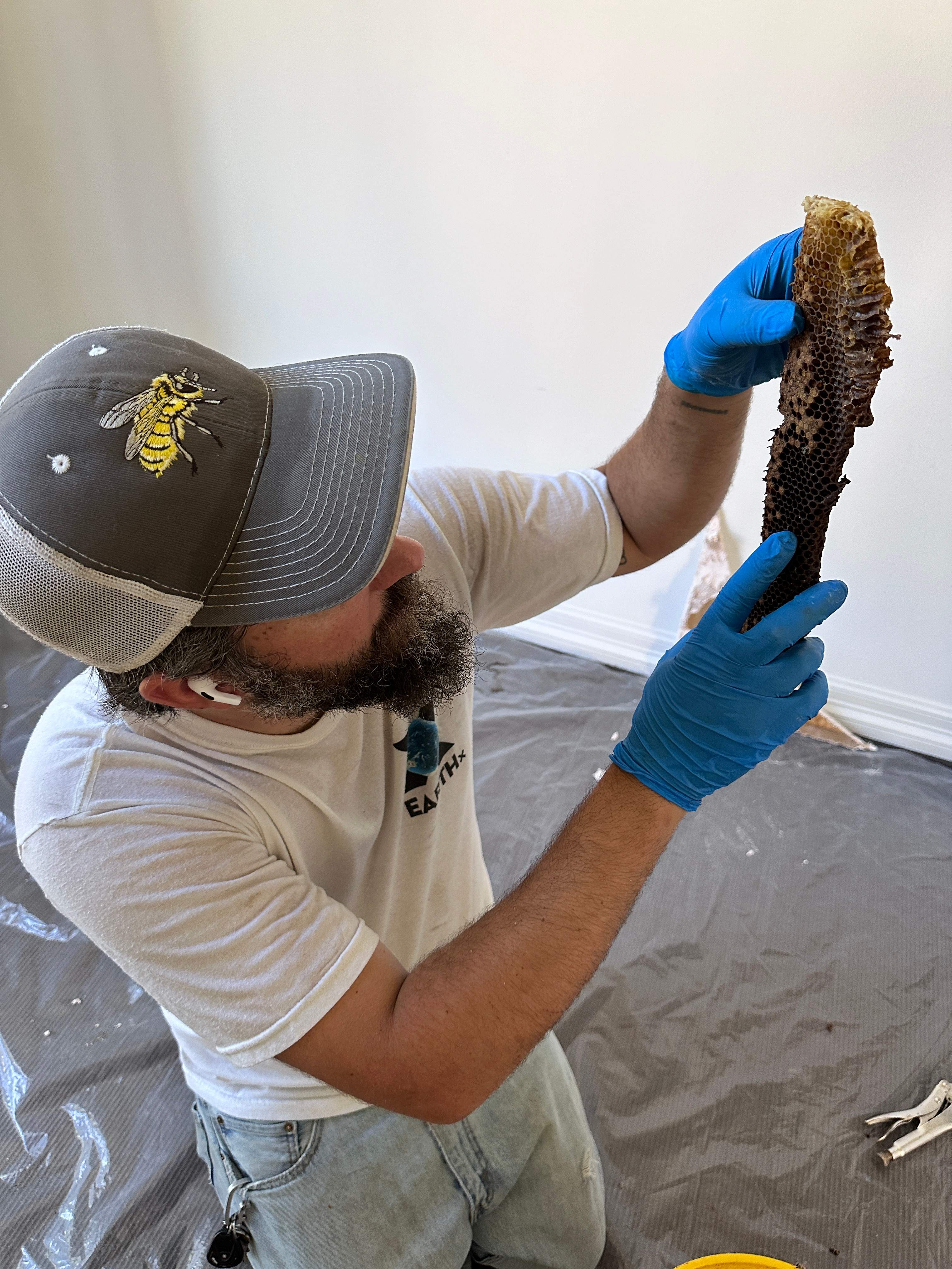 Suicide Swarm by Rockwall Honey Bee Company