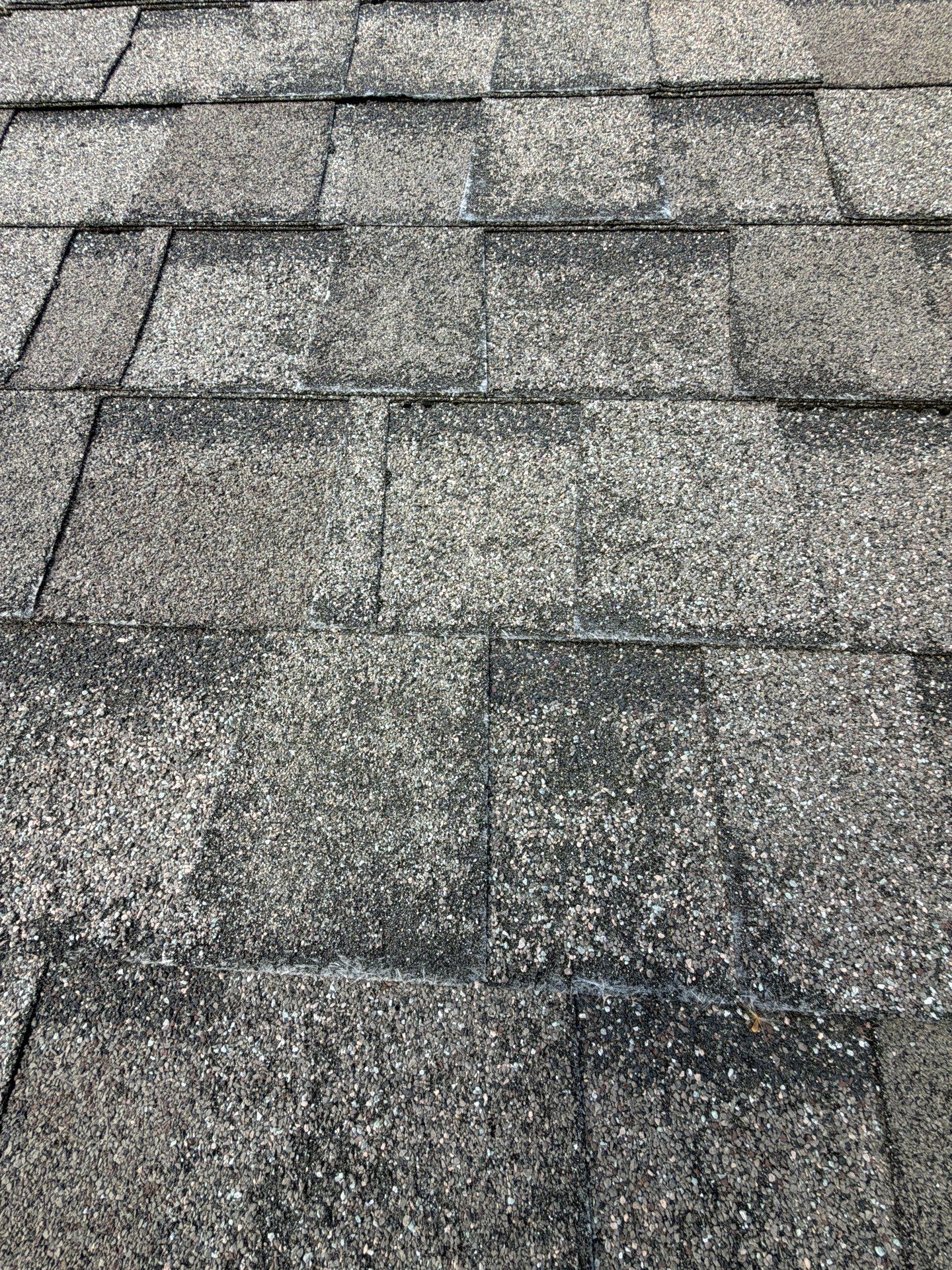 Ventura Place Hoschton Roof Replacement  by Dom Roofing & Restoration