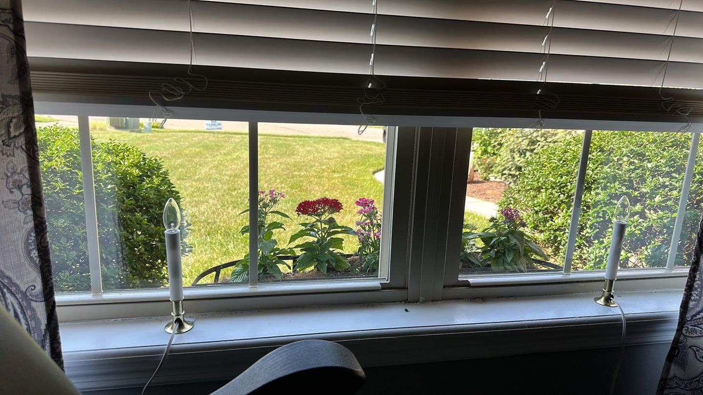 Roof and Windows! by Tamlin Roofing