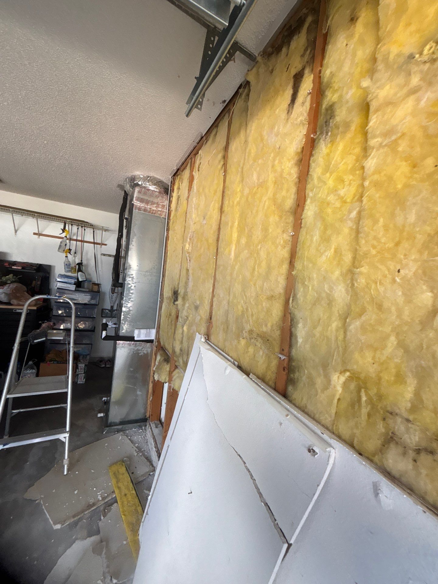 Mold Inspection & Removal In Palmetto, FL by Ampm Restoration Services
