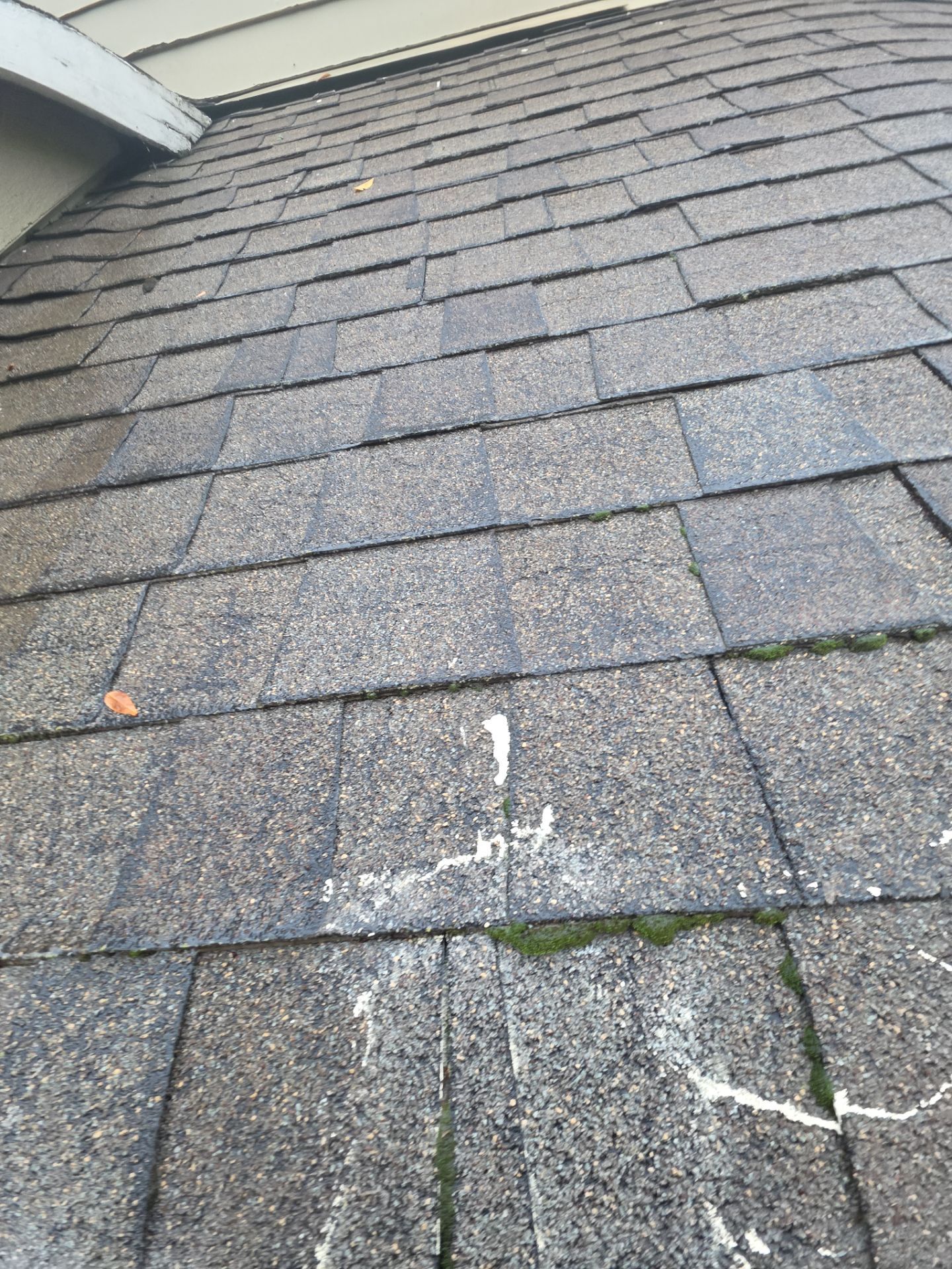 Roof Rejuvenation using Roof Maxx Treatment by Roof Maxx of Folsom