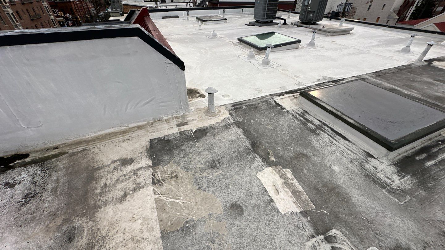 Alexandria: Carlisle Syntec TPO Flat Roof Installation by RM Banning, Inc.