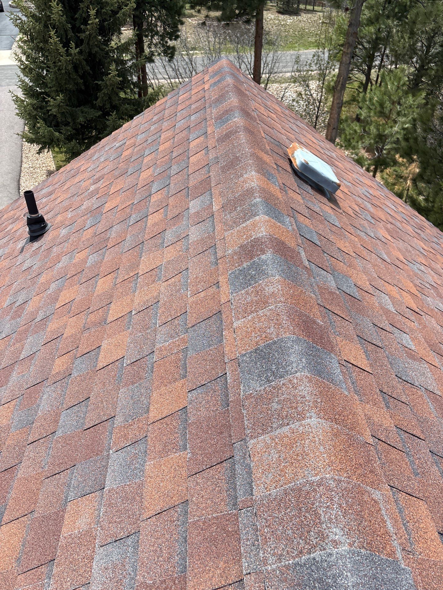 Malarkey Vista AR color antique brown by Golden Spike Roofing