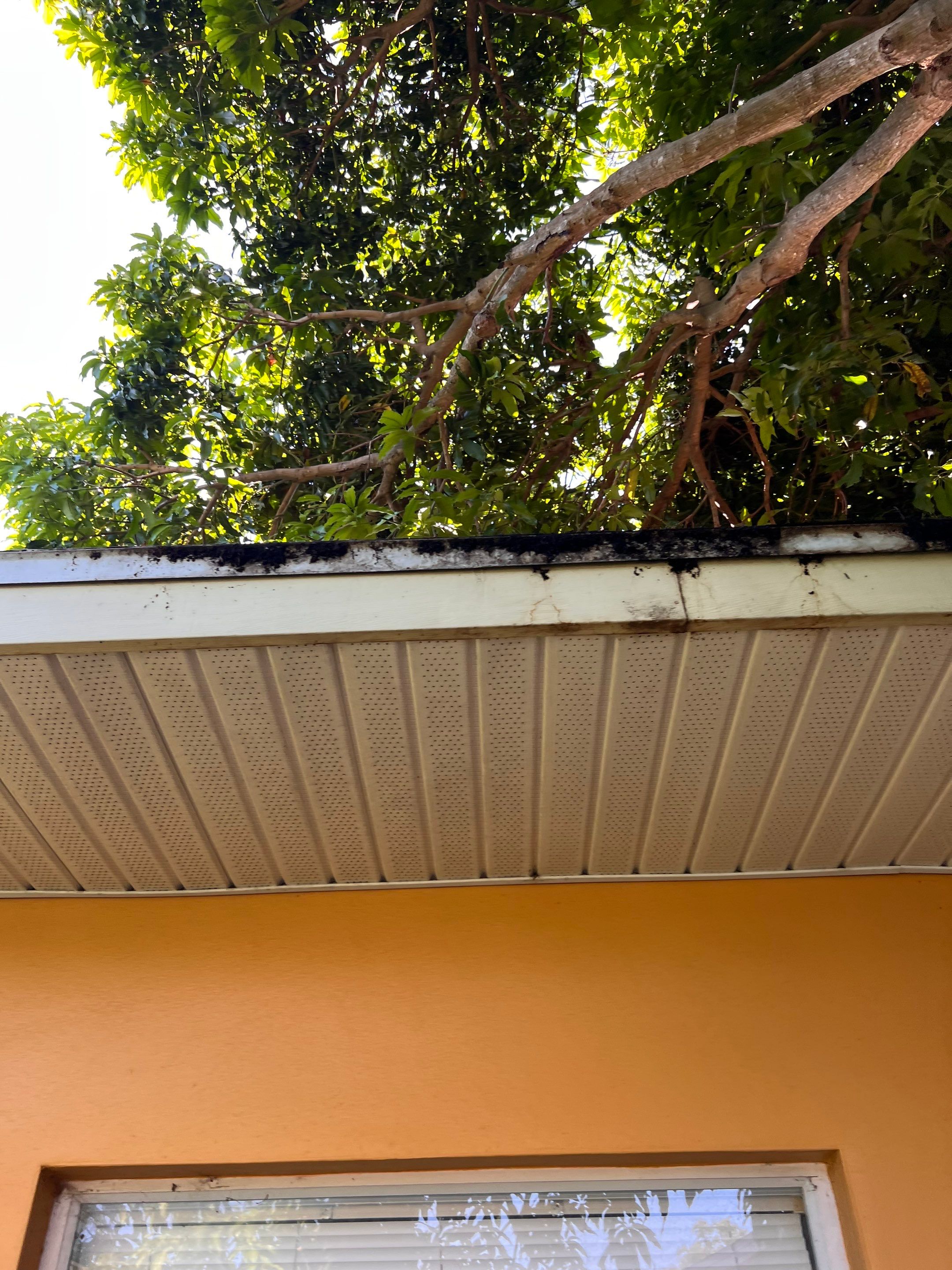 Project in Largo 33774 by Mitchell Roofing Company LLC 